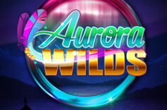 Играть в Aurora Wilds