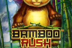 Играть в Bamboo Rush