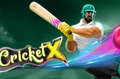 Играть в Cricket X