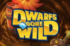 Играть в Dwarfs Gone Wild