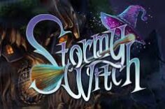 Играть в Stormy Witch