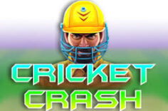Играть в Cricket Crash