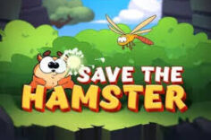 Играть в Save the Hamster