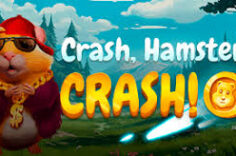 Играть в Crash, Hamster, Crash!