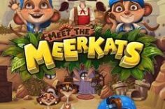 Играть в Meet the Meerkats