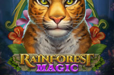 Играть в Rainforest Magic