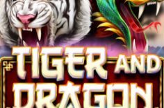 Играть в Tiger and Dragon