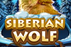 Играть в Siberian Wolf