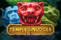 Играть в Temple of Nudges