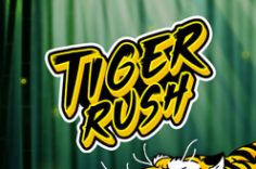 Играть в Tiger Rush