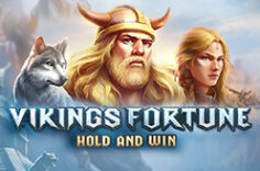 Играть в Vikings Fortune: Hold and Win