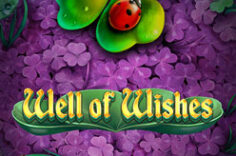 Играть в Well Of Wishes