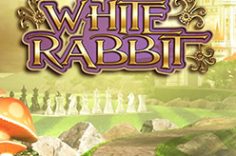 Играть в White Rabbit