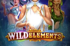 Играть в Wild Elements