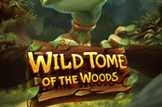 Играть в Wild Tome of the Woods